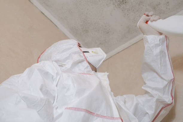 Best Toxic Mold Removal  in Norwalk, OH