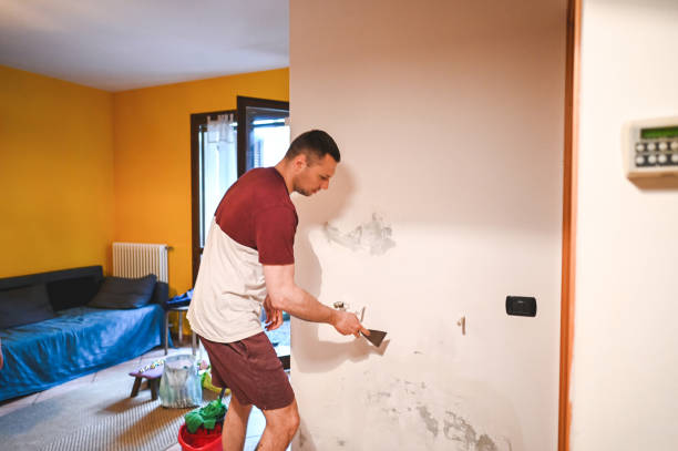 Trusted Norwalk, OH Mold Removal Experts
