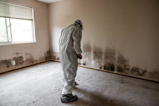 Best Office Mold Removal Services  in Norwalk, OH